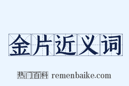 金片近义词是什么意思的图片